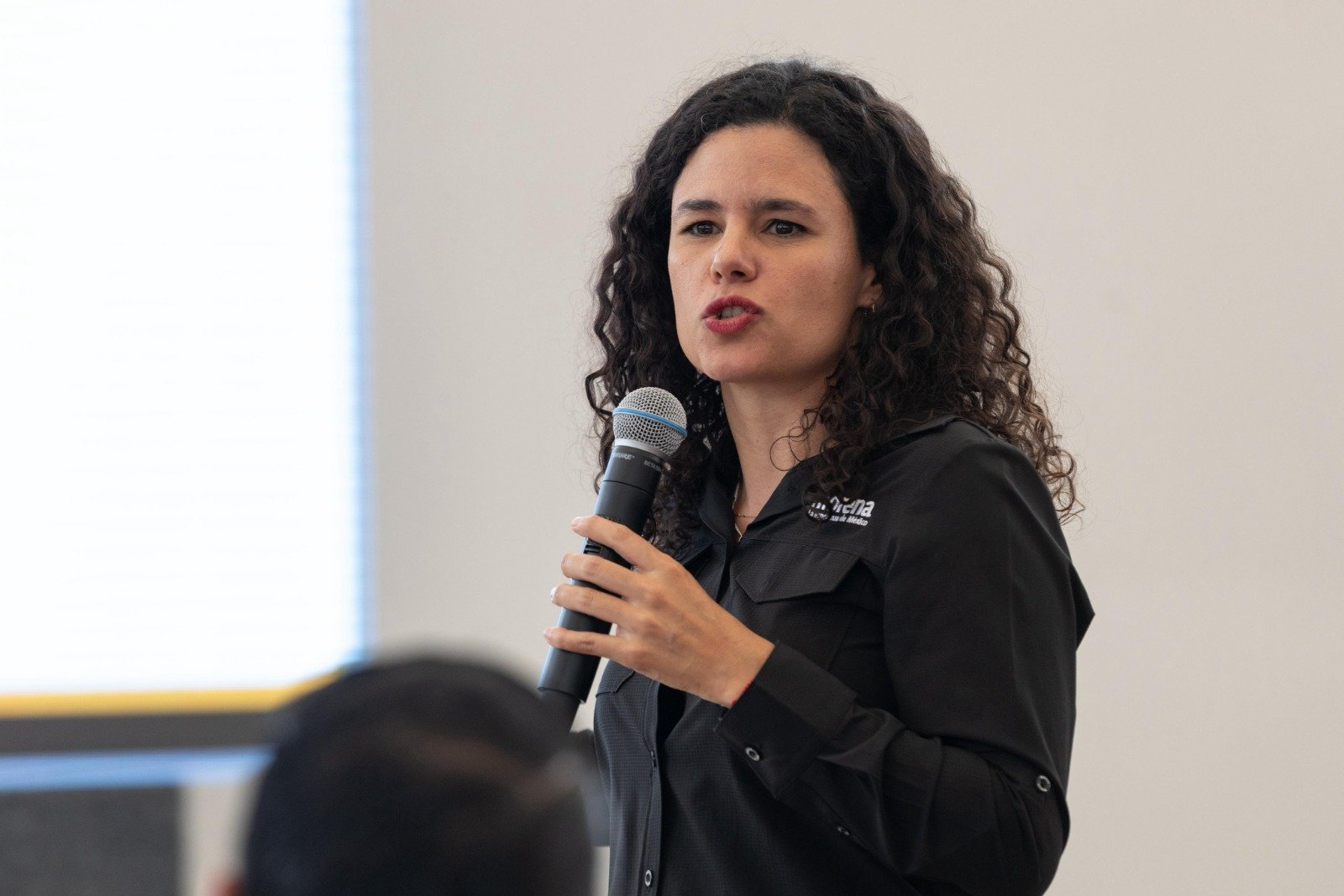 Morena implementará veto a reelección y nepotismo desde 2027: Luisa Alcalde