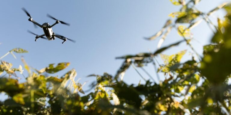 12/09, 17:41:47, 1.png