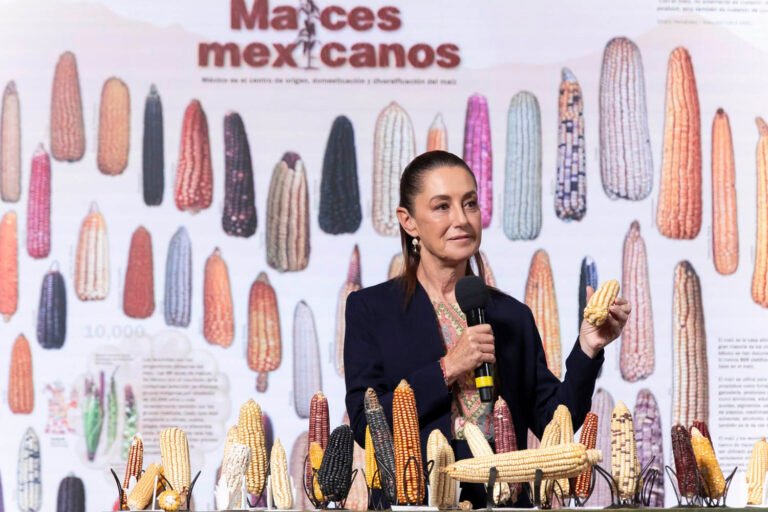 29/09, 15:11:56, 1.png