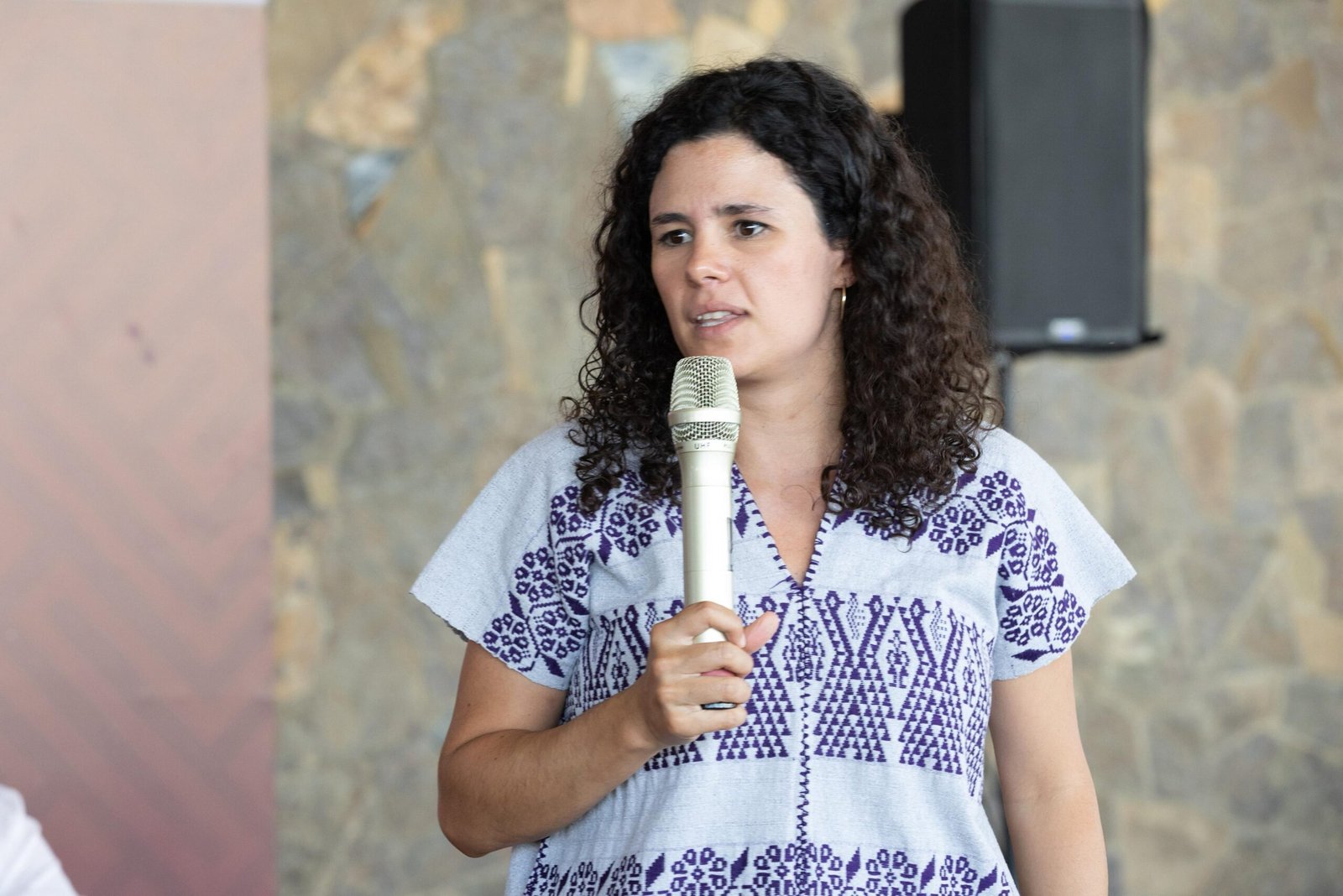 Luisa Alcalde expone la alianza entre PAN y MC: “El McPAN es real, pese a las negaciones de sus dirigencias”