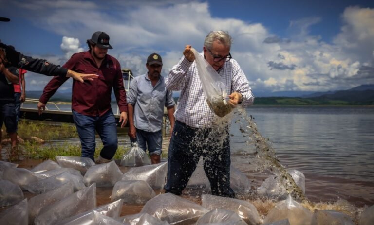 03/10, 18:09:51, 4.png