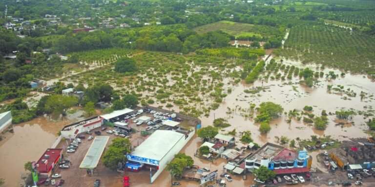 14/10, 11:44:41, 1.png