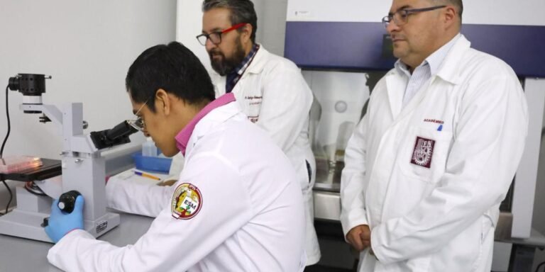 20/10, 12:17:03, 1.png