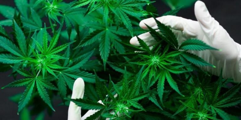 29/10, 10:04:21, 2.png