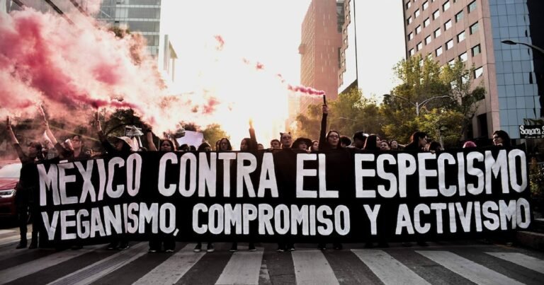 05/11, 13:47:29, 3.png