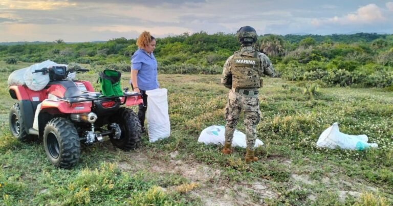 06/11, 15:03:01, 2.png