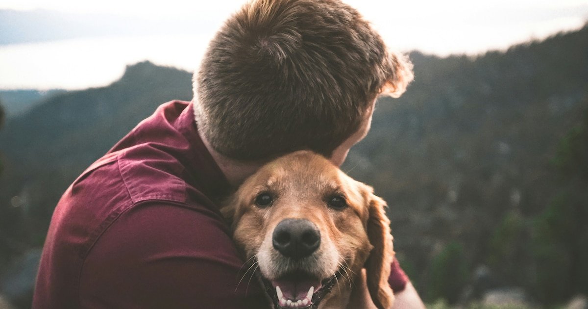 Agatan Busca a Camila: Ayuda a Mascotas Extraviadas a Volver a Casa