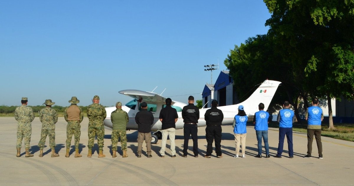 Operativo Aéreo Detecta 259 Terrenos de Cultivos Ilícitos en el Norte de México