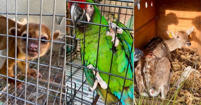 11/11, 16:22:04, 1.png