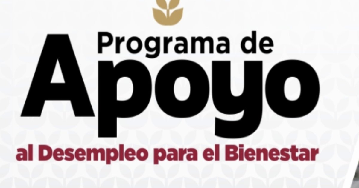 Edomex Reparte 3 Mil Pesos a Desempleados: Un Respiro Antes de Fin de Año