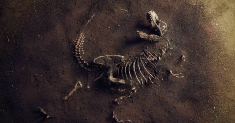 19/11, 11:02:06, 4.png