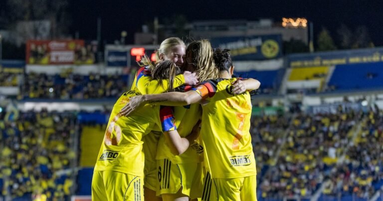 20/11, 11:23:03, 4.png