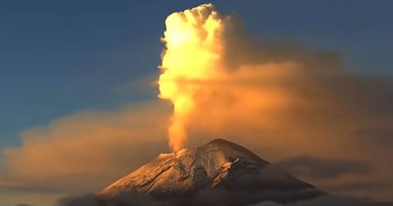 21/11, 11:22:04, 1.png