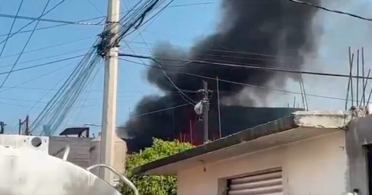 24/11, 14:22:17, 2.png