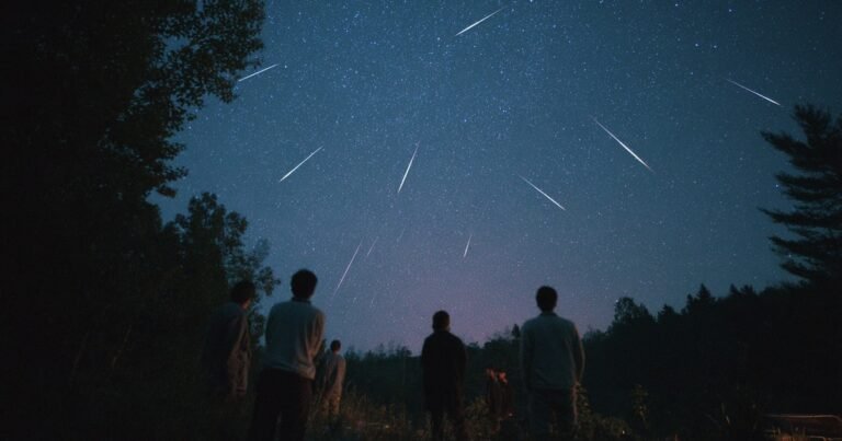 25/11, 11:42:42, 2.png