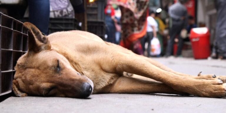 25/11, 12:00:26, 1.png