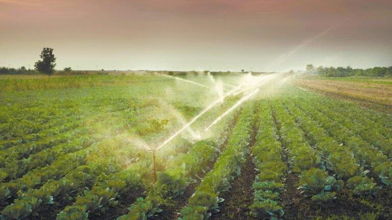 27/11, 09:34:09, 1.png