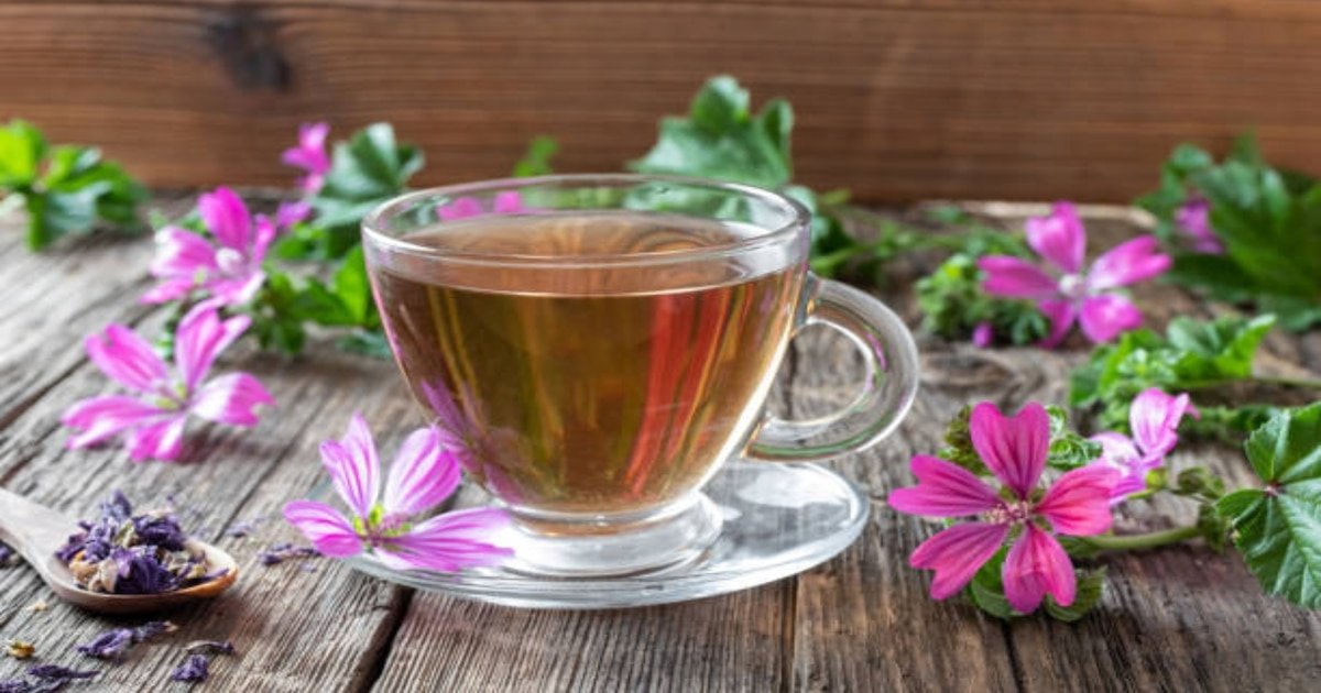 Malva: El Remedio Natural para Afecciones de Diciembre