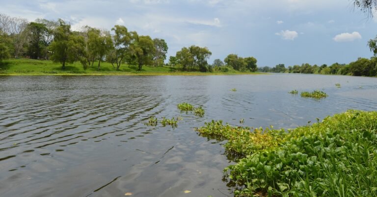 28/11, 15:42:04, 3.png