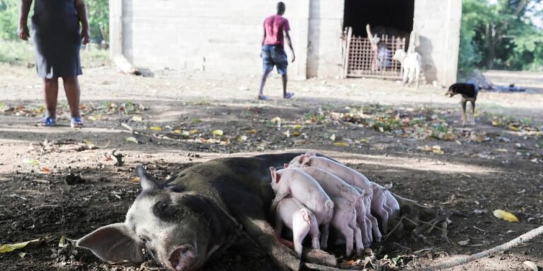 01/12, 10:49:44, 1.png