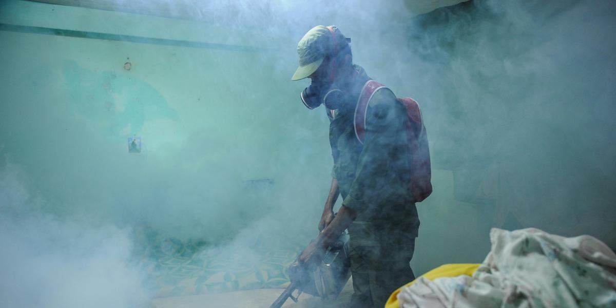 Cuba en Alerta: Mosquitos Asesinos Dejan 33 Muertos en Epidemia Brutal