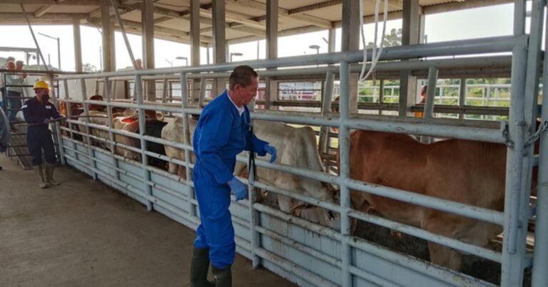 02/12, 19:21:56, 2.png