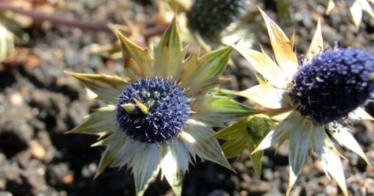 02/12, 20:23:00, 2.png