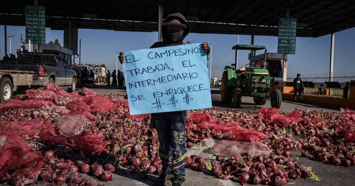 Caravana en ruta: actualizaciones de un viaje con causa