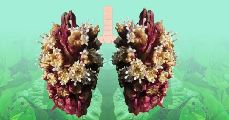 04/12, 14:01:43, 1.png