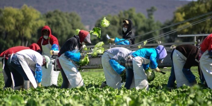 08/12, 11:32:12, 1.png