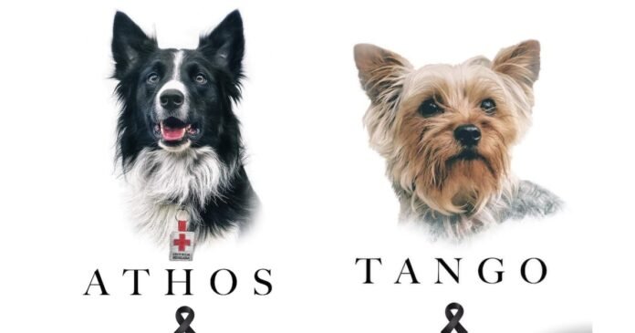 08/12, 12:50:01, 2.png