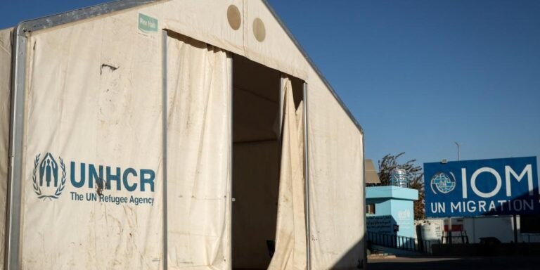 11/12, 11:43:46, 12.png