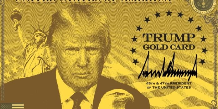 12/12, 13:01:15, 1.png