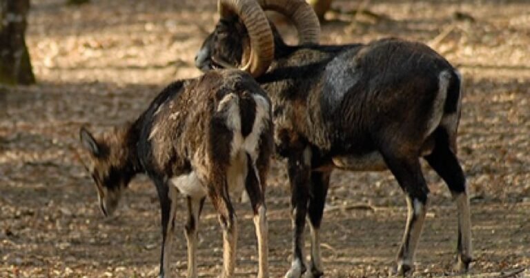 12/12, 14:59:39, 6.png