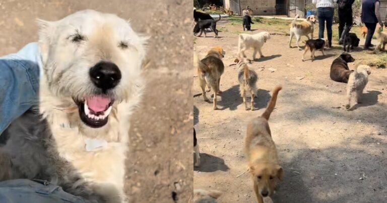 12/12, 18:25:04, 4.png