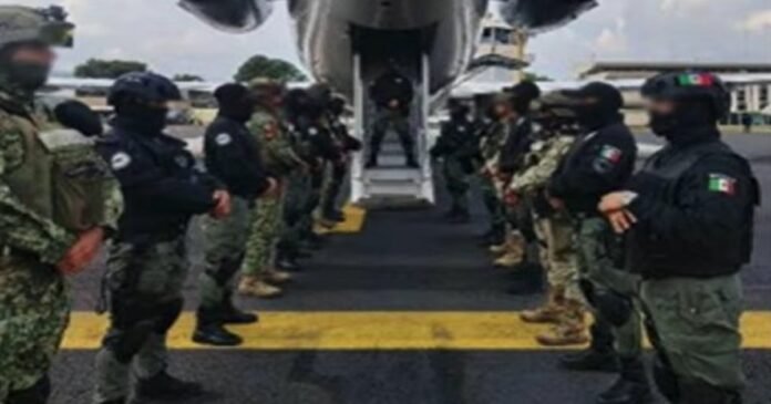 15/12, 11:35:46, 12.png