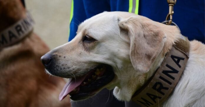 15/12, 11:35:46, 13.png