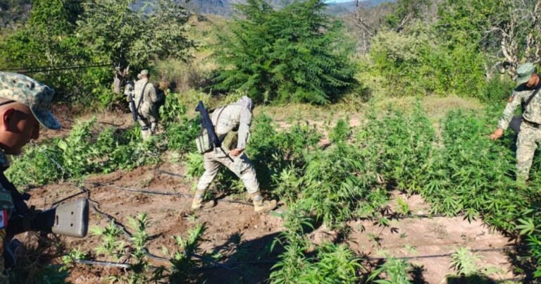 15/12, 18:03:43, 5.png