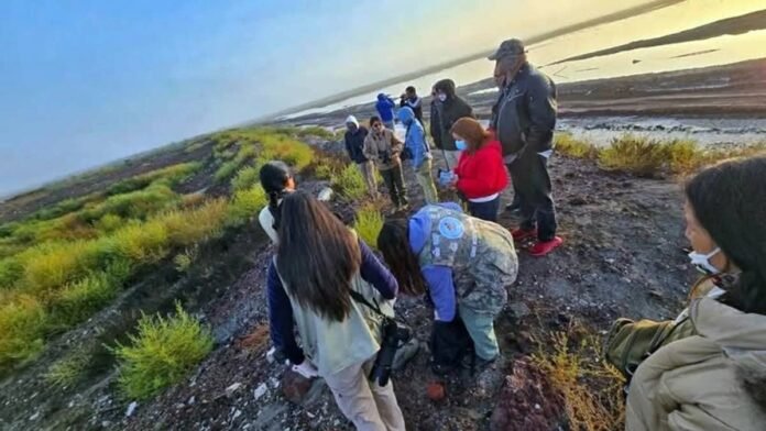 16/12, 11:34:04, 2.png 16/12, 11:34:04, 2.png