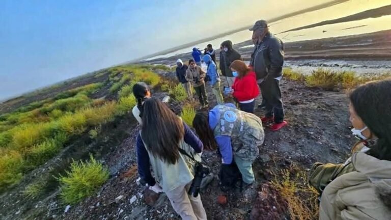 16/12, 11:34:04, 2.png