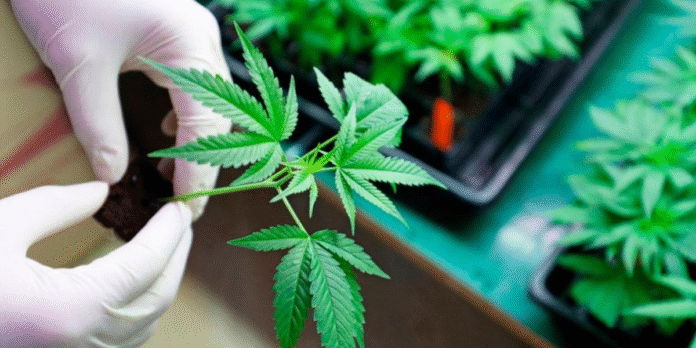 16/12, 12:29:17, 7.png 16/12, 12:29:17, 7.png