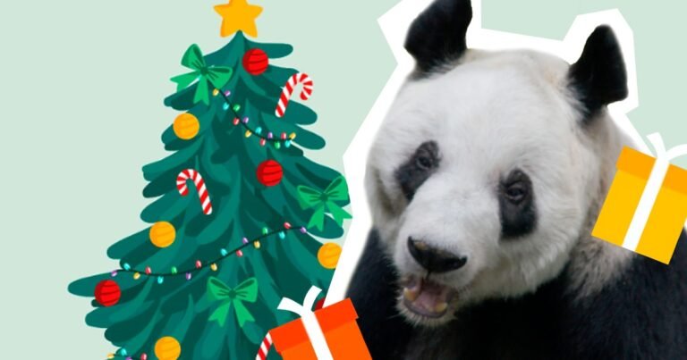 23/12, 11:12:17, 6.png