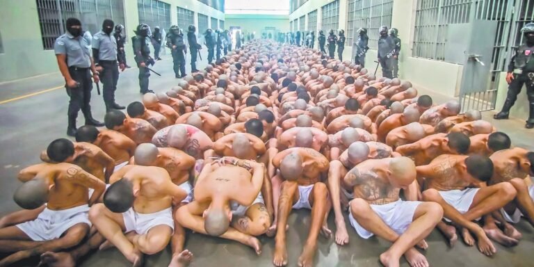 23/12, 12:28:05, 5.png