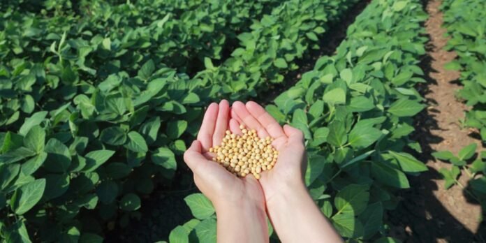 29/12, 15:41:35, 1.png 29/12, 15:41:35, 1.png