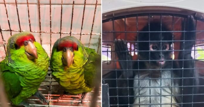 30/12, 16:04:00, 3.png