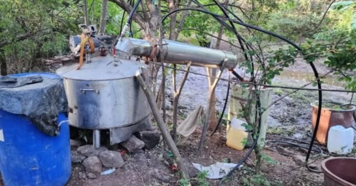 07/01, 12:37:40, 8.png 07/01, 12:37:40, 8.png