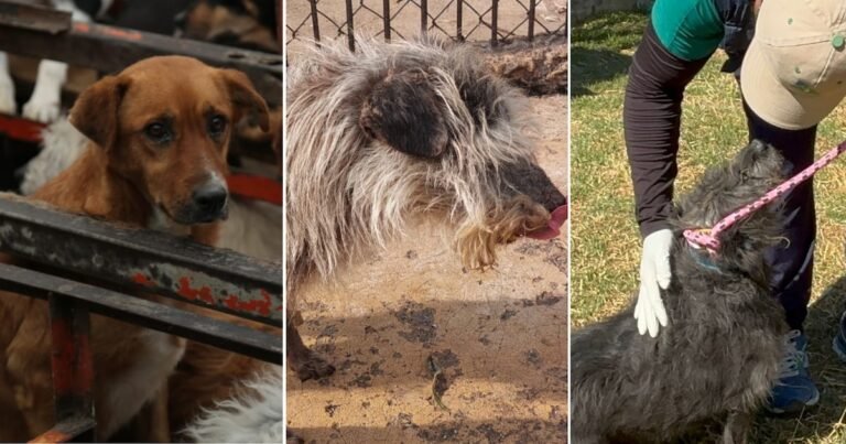 07/01, 15:39:12, 2.png