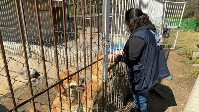 08/01, 13:01:21, 3.png