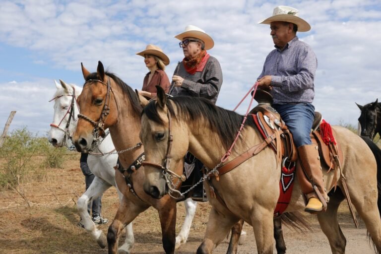 19/01, 12:21:07, 1.png