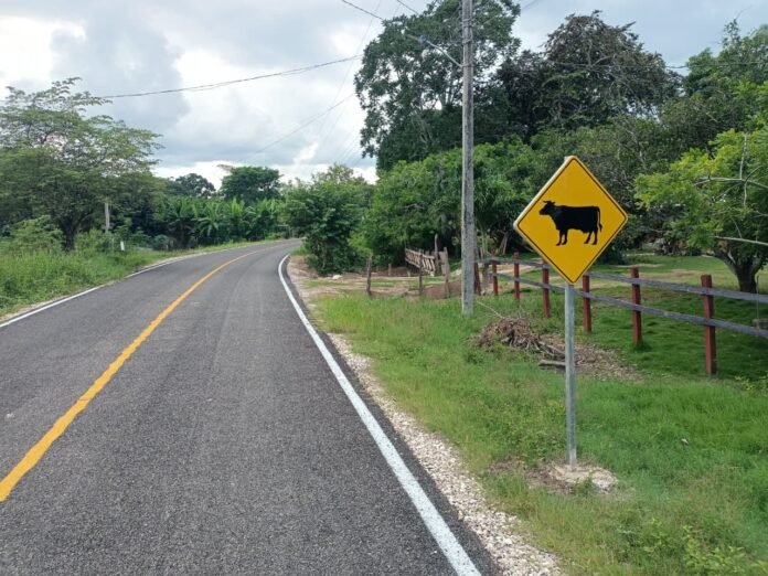 20/01, 14:01:12, 1.png